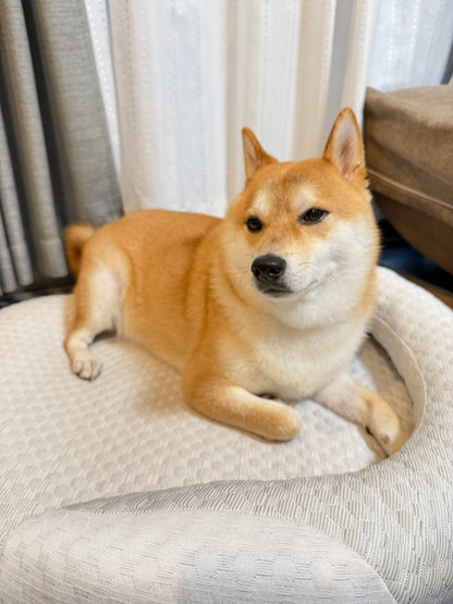 Mori Cooling Nest Bed