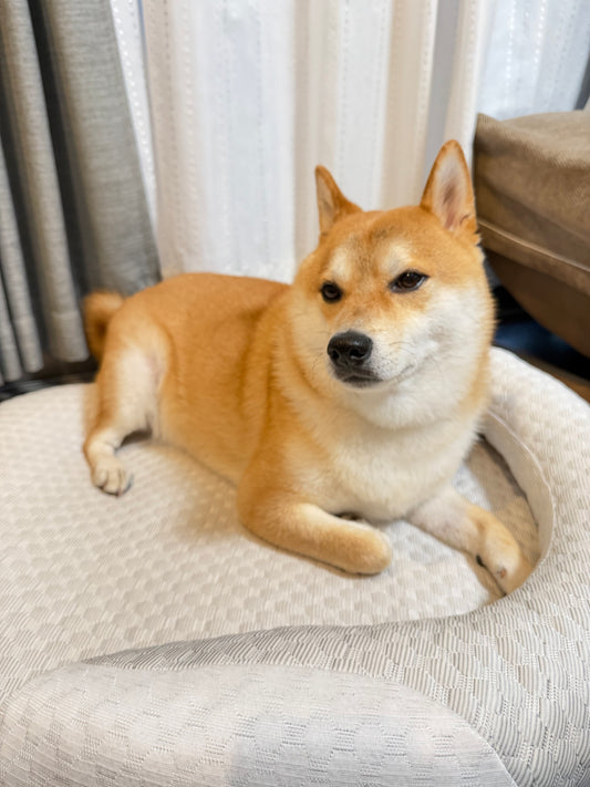 Mori Cooling Nest Bed