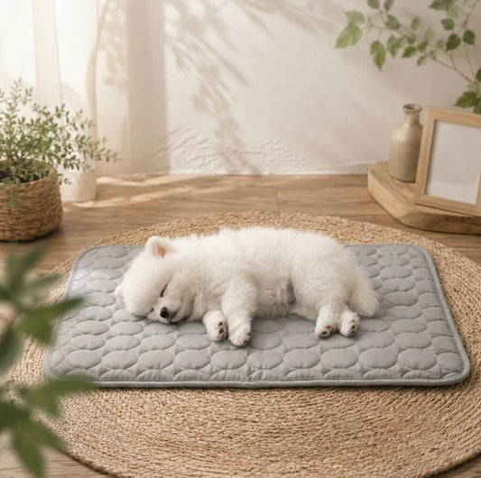 Mori Ice Silk Cooling Mat