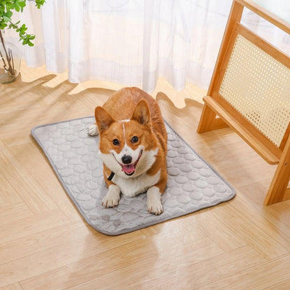 Mori Ice Silk Mat